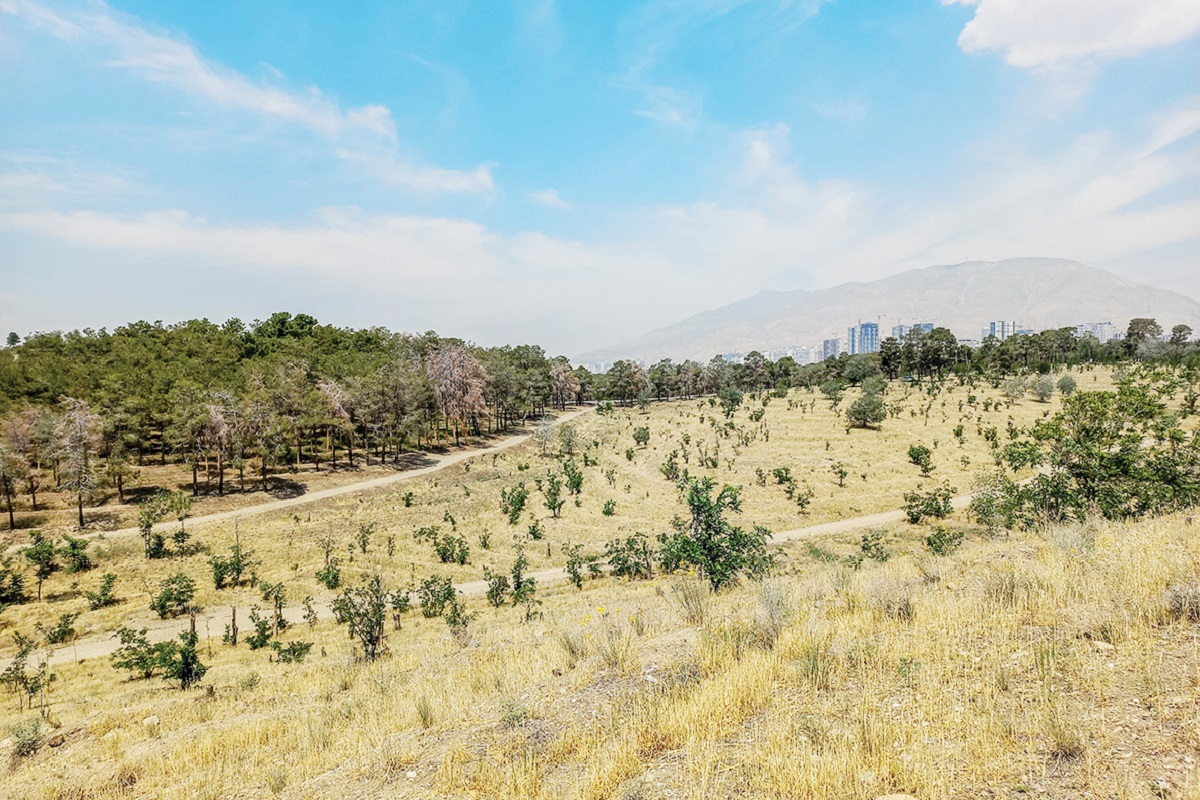 sara sabzi (10 of 11)