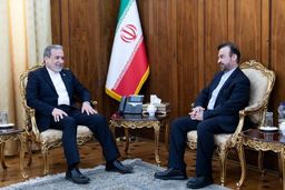 تأکید عراقچی بر پیگیری حقوق ایران در نهادهای بین‌المللی

