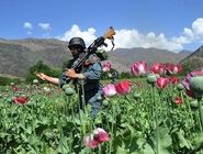 اصلاحات قانونی و کاهش مصادیق اعدام در دستور کار