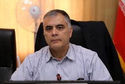 وزیر نفت: برای مقابله با قاچاق سوخت، برنامه‌ریزی می‌کنیم