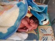 نجات نوزاد رهاشده در گاری زباله مشهد