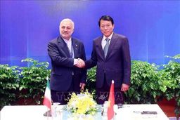 گفت‌وگوی جلال‌زاده و وزیر امنیت عمومی ویتنام در هانوی
