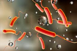 هشدار درباره شیوع سه ویروس در کشور 