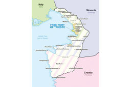 پیمان اوسیمو