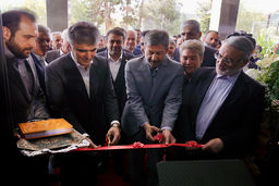 نجارزاده در مراسم افتتاح شعبه کاشان: آیین نامه تامین مالی صنعت نساجی تا دو هفته آینده ابلاغ می شود