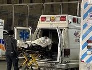 خیز دوباره آنفلوانزا در آمریکا
