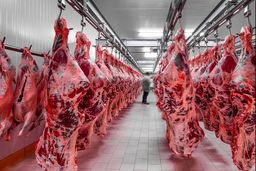رونمایی از تصمیم بزرگ دولت درباره گوشت قرمز 