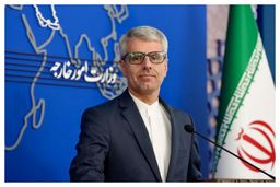 بقائی: گفت‌وگوهای رم در فضایی سازنده برگزار شد
