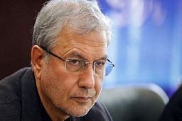 ربیعی:  آمارها قادر به بازتاب رنج‌های فرودستان نیستند