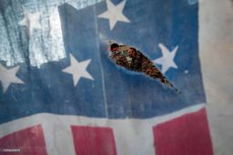 ایرانی‏‌ها نه فراموش می‌‏کنند و نه می‌‏بخشند