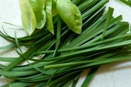 مصرف تره برای دیابتی‌ها ضرر دارد؟