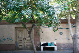 بالش کجا، مرد کجا؟درباره عکسی از خواب و حسرت