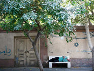 بالش کجا، مرد کجا؟درباره عکسی از خواب و حسرت