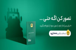 بلو به کاربران خود بدون سود، ضامن و وثیقه وام می‌دهد
 