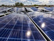 رفاه دروغین