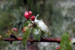  هواشناسی: هفتۀ آینده تهران سردتر خواهد شد
