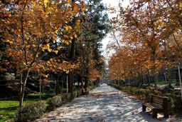 هوای تهران خنک می‌شود