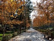 پیش‌بینی وضعیت آب‌وهوا؛ امروز یکشنبه 30 آذر 1404