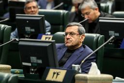 قشقاوی: اقدام مجلس درباره CFT تقابل صریح با نظر رهبر انقلاب است