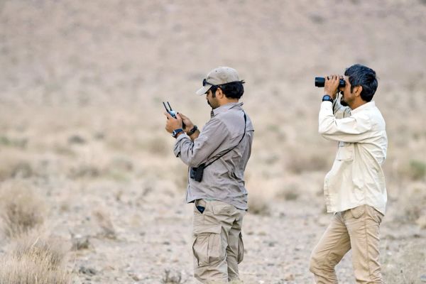 کوچ مراقبان طبیعت