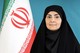 نه به تعرفه‌ واردات خودرو 