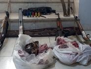 کشف لاشه سه کل و بز وحشی و چهار قبضه سلاح در بم