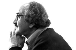 استاد دو اقلیم ادبیات کلاسیک و نوین 