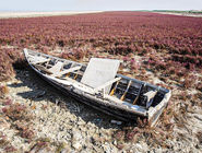 1405 ؛ سال سخت «شمال»/بررسی خشکسالی و کاهش بارش در استان‏‌های شمالی ایران که در سال آینده تشدید خواهد شد