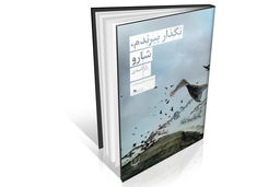 بازتاب درد در بوم رنگ‌ها