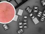 ربات‌هایی کوچک‌تر از دانه نمک با مغز دیجیتال