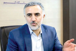 واگذاری بخشی از اختیارات به شورای دفاع 