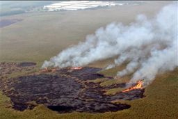 منشا دود سنگین ماهشهر و بندر امام خمینی مشخص شد 