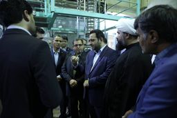 بازدید مدیرعامل بانک صادرات ایران از شرکت‌های صنعتی کاشمر