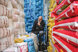 داستان پررنج برنج/تشکیل پرونده برای شرکت‏‌های عرضه‌کننده، می‏‌تواند اثر سیاست‌‏های نادرست دوره قبل را از بین ببرد؟