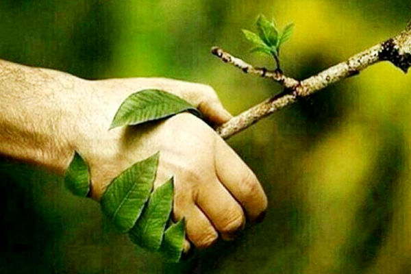 تشنگی به قصد کشتن