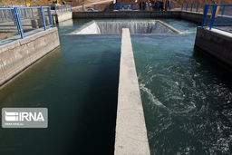 آب طالقان به تهران نزدیک‌تر شد 