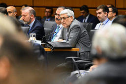 نماینده ایران: تروئیکای اروپا در جایگاه فعال‌کردن اسنپ‌بک نیست
