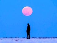 ماه را برای دیوانه‌ها بگذارید/درباره عکسی از خسوف خونین