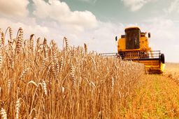 خبر مهم درباره مطالبات گندم‌کاران