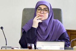 مهاجرانی: حذف ارز ترجیحی در هماهنگی با سایر قوا انجام شد