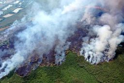 علاج اصلی آتش هورالعظیم در دجله و فرات+فیلم