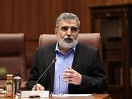 کمالوندی: تمرکز ما بر همکاری هسته‌ای با روسیه است