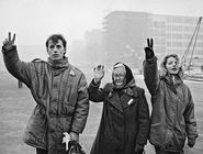 انقلاب ملایم چک