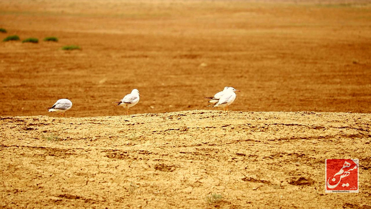 photo_6_2024-05-15_01-08-15