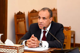 وزیر خارجه مصر: از استقرار نیروهای بین‌المللی در غزه حمایت می‌کنیم