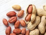 با مصرف این آجیل از پیر شدن فاصله بگیرید 