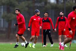 قرارداد ستاره محبوب پرسپولیسی‌ها تمدید می‌شود