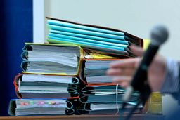 مزایده اموال شناسایی شده در پرونده کینگ‌مانی پس از تشریفات قانونی برگزار می‌شود