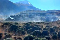 خسارت سنگین آتش‌سوزی در جنگل لار