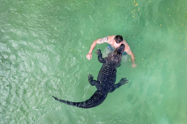 تصویر شوکه‌کننده/درباره عکسی از شنا کردن آقای «کریستیان کاولیس» و خانم «مایر»